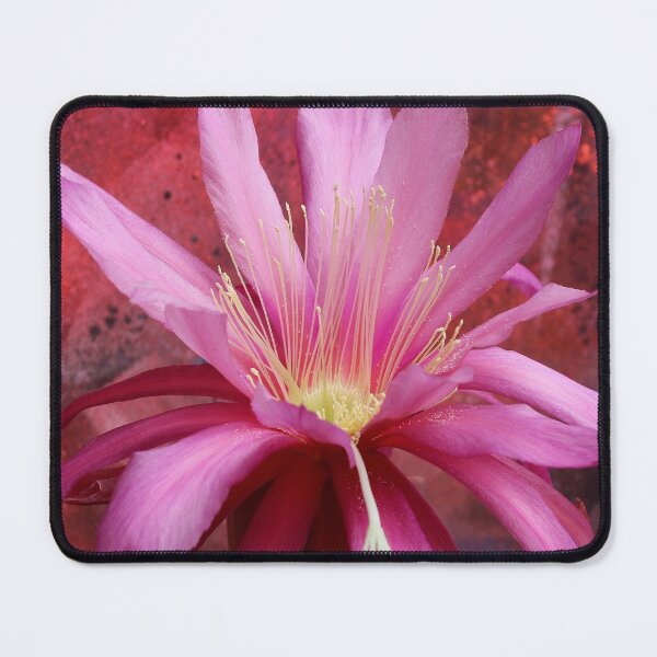 Item preview, Cacto-luminescence designed and sold by Michael May.
