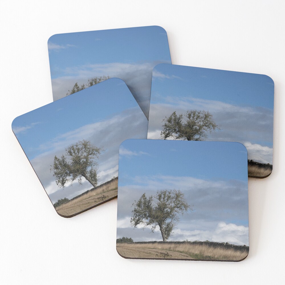 Item preview, Coasters (Set of 4) designed and sold by HappySnapping.