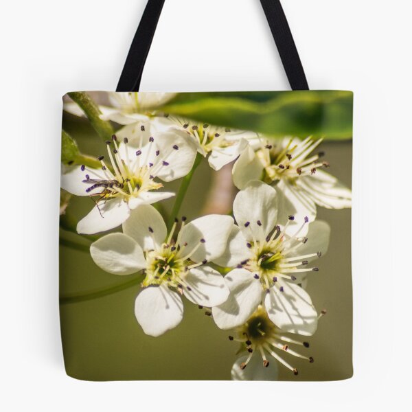 Item preview, slb tasty designed and sold by pcfyi.