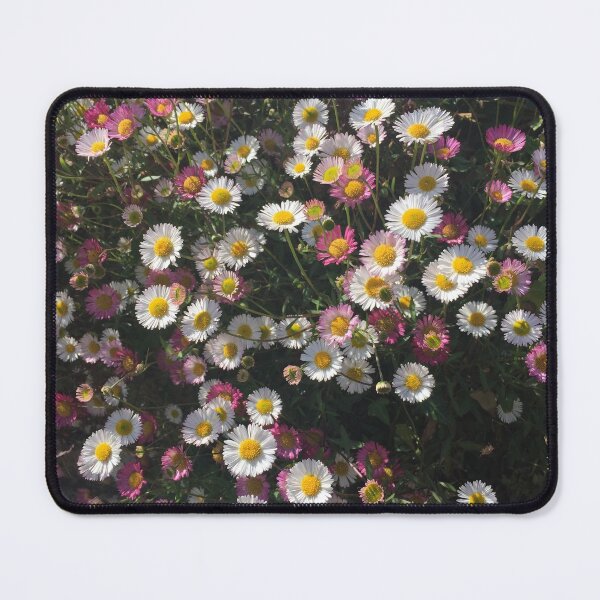 Item preview, Fleabane, outside St Mary the Virgin church, Chursten Ferrers designed and sold by Tizz07.
