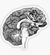 Pegatina Cerebro anatómico floral