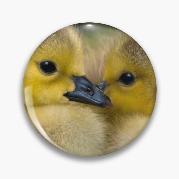 Item preview, Cute Little Ducklings  designed and sold by Michelle Moss.