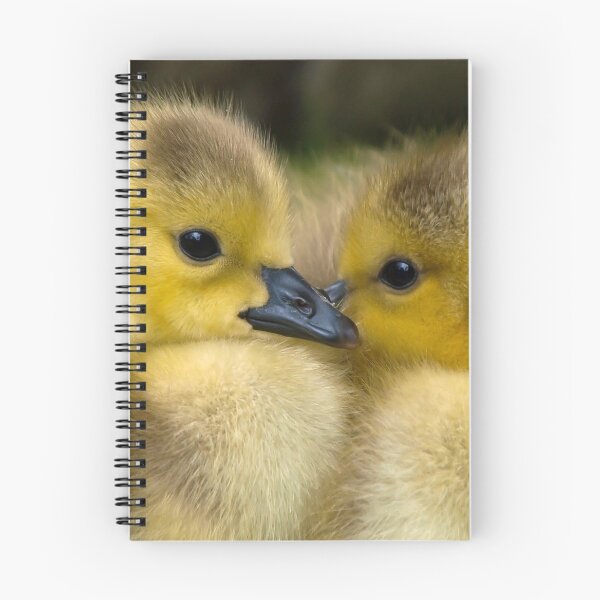 Item preview, Cute Little Ducklings  designed and sold by Michelle Moss.