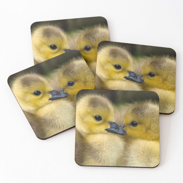 Item preview, Cute Little Ducklings  designed and sold by Michelle Moss.