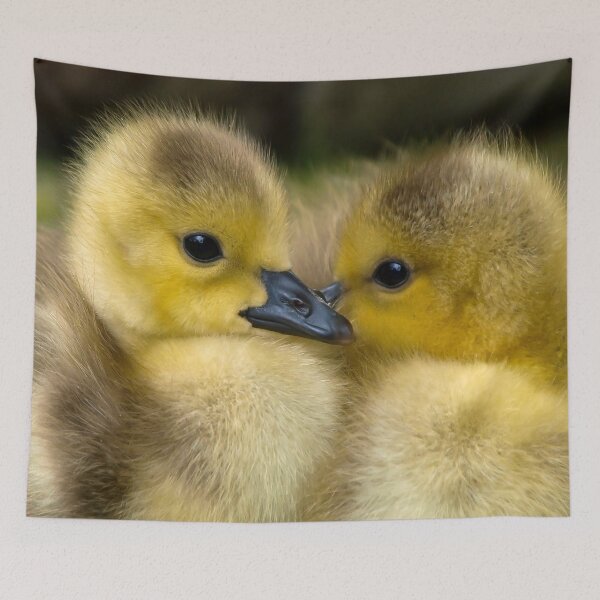 Item preview, Cute Little Ducklings  designed and sold by Michelle Moss.