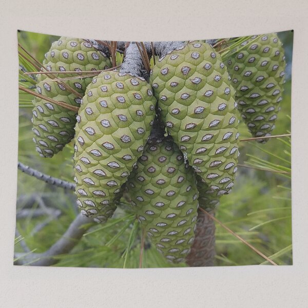 Item preview, Green Pine Cone designed and sold by DesignMore21.
