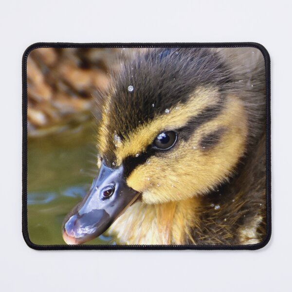Item preview, Cute Little Ducklings designed and sold by Michelle Moss.