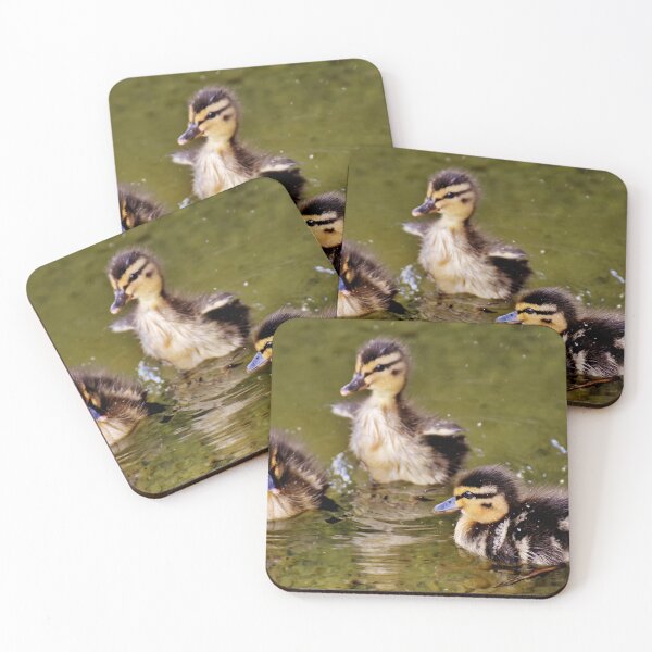 Item preview, Cute Little Ducklings  designed and sold by Michelle Moss.