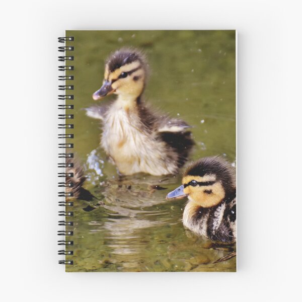 Item preview, Cute Little Ducklings  designed and sold by Michelle Moss.