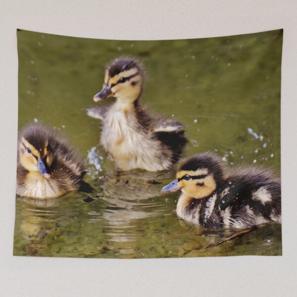 Item preview, Cute Little Ducklings  designed and sold by Michelle Moss.