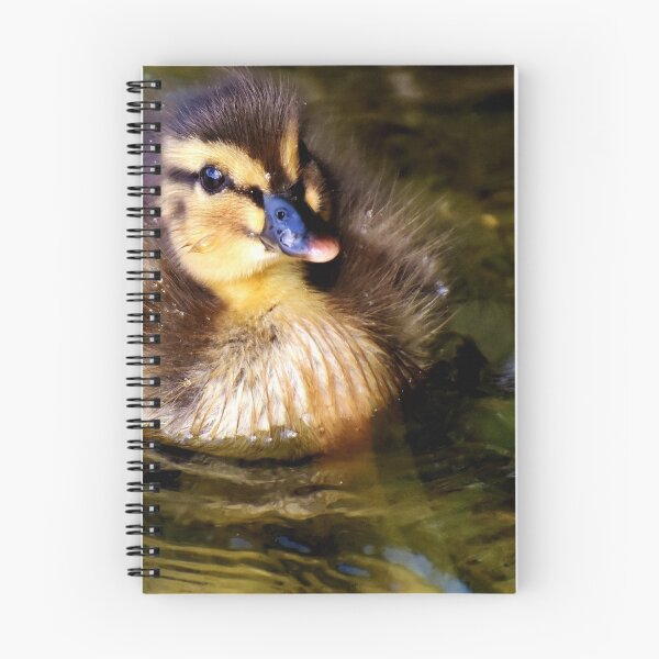 Item preview, Cute Little Ducklings designed and sold by Michelle Moss.