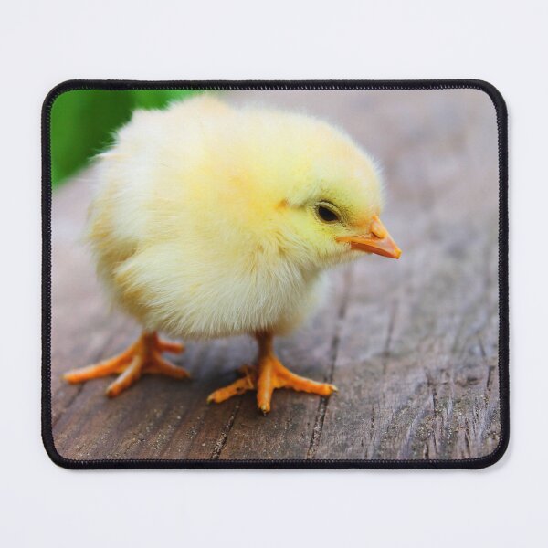 Item preview, Cute Little Duckling designed and sold by Michelle Moss.