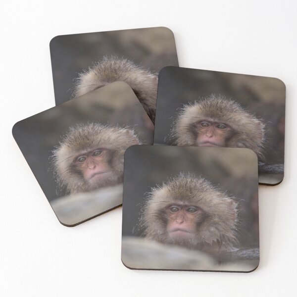 Artikelvorschau, Schneeaffe 8 entworfen und verkauft von Paul Campbell  Photography.