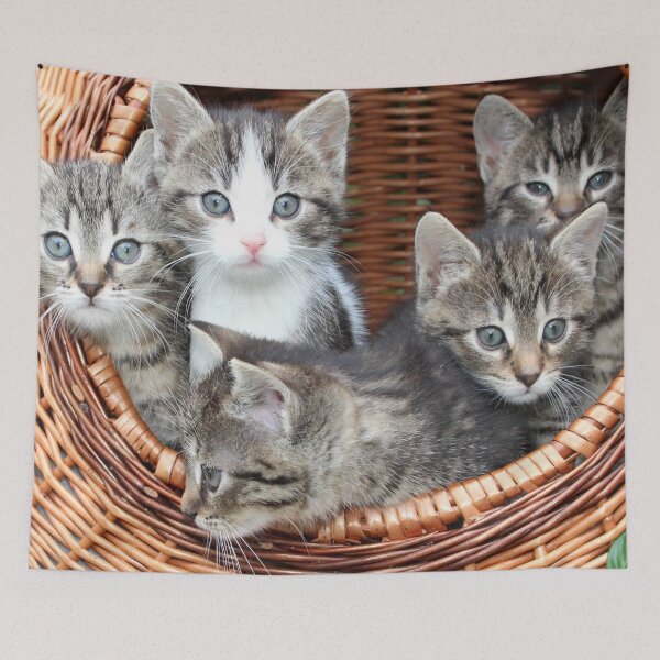 Item preview, Kittens  designed and sold by Michelle Moss.