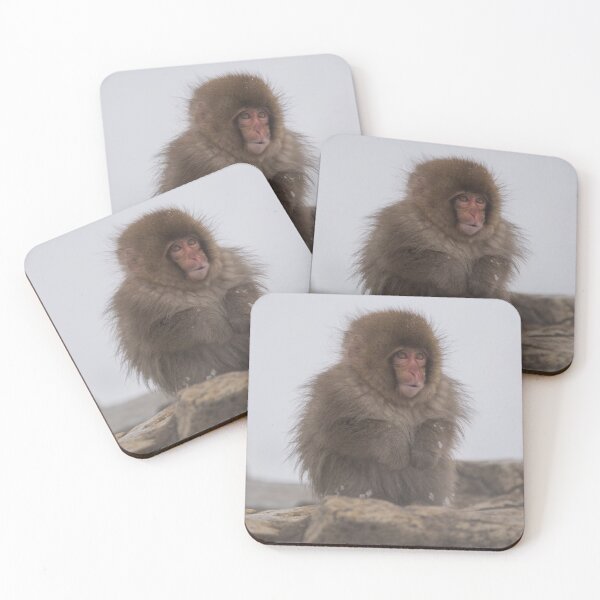Artikelvorschau, Schneeaffe 9 entworfen und verkauft von Paul Campbell  Photography.