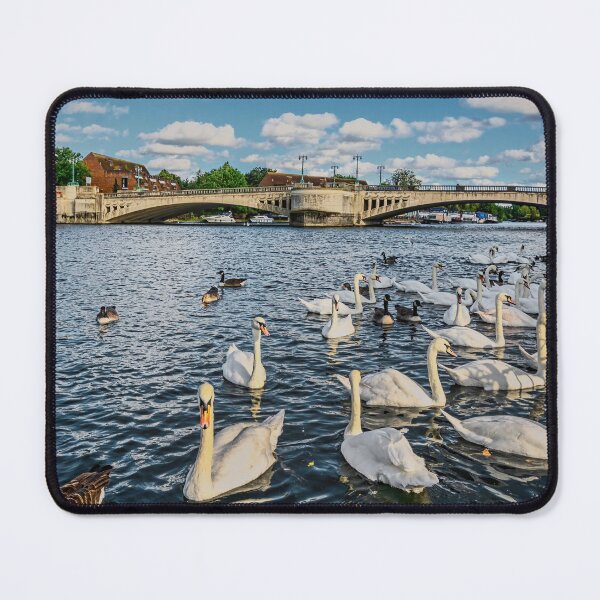 Item preview, Swans by Caversham Bridge in Reading designed and sold by IanWL.