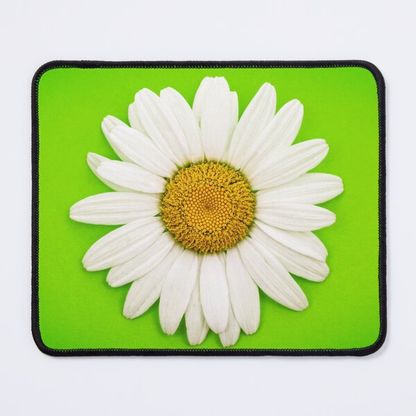 Item preview, White Daisy on Green designed and sold by Leslie Banks.