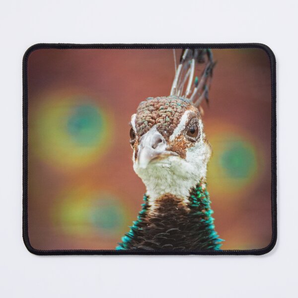 Item preview, Peahen designed and sold by Leslie Banks.
