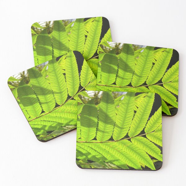 Item preview, Staghorn Sumac leaves.    by Lorraine (My Joy) designed and sold by Lorraine Lashley  - My Joy..