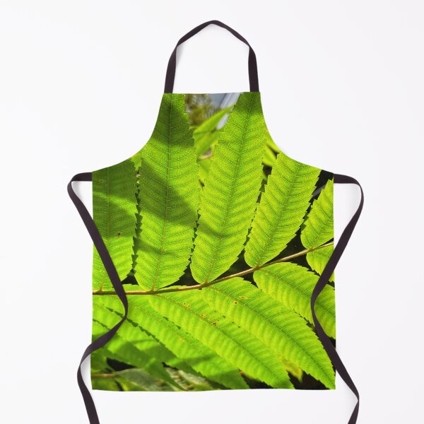 Item preview, Staghorn Sumac leaves. by Lorraine (My Joy) designed and sold by Lorraine Lashley - My Joy..