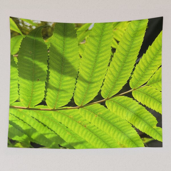 Item preview, Staghorn Sumac leaves.    by Lorraine (My Joy) designed and sold by Lorraine Lashley  - My Joy..