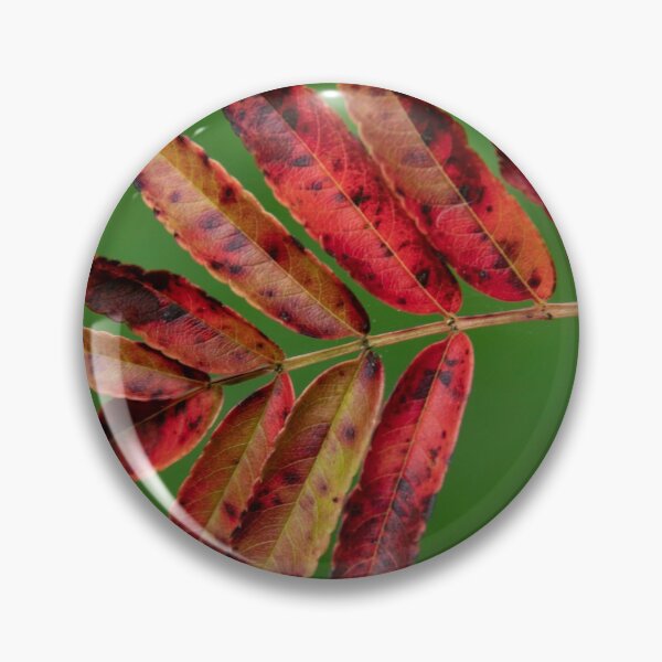 Item preview, Autumn designed and sold by Mickey Rooney.