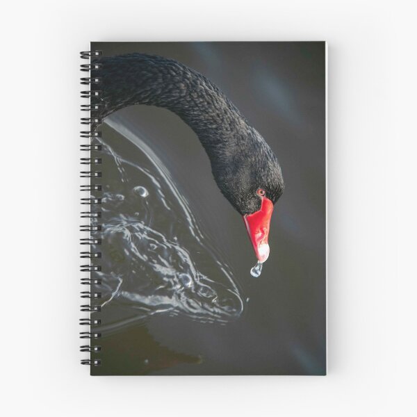 Item preview, Black Swan designed and sold by Mickey Rooney.