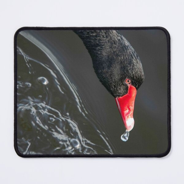 Item preview, Black Swan designed and sold by Mickey Rooney.
