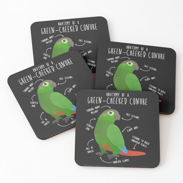 Item preview, Green Cheek Conure Anatomy designed and sold by Clara Hollins.