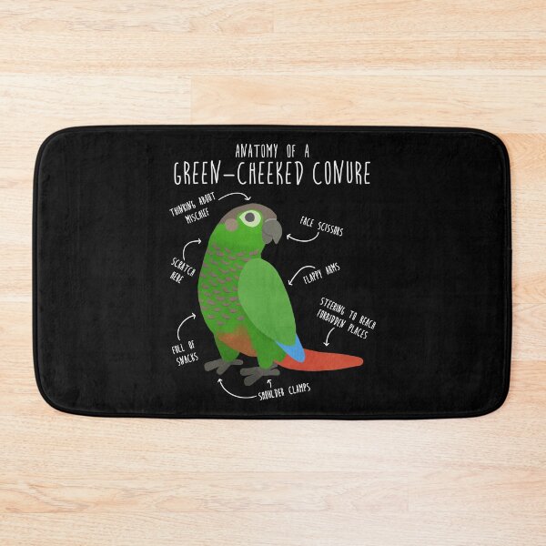 Item preview, Green Cheek Conure Anatomy designed and sold by Clara Hollins.