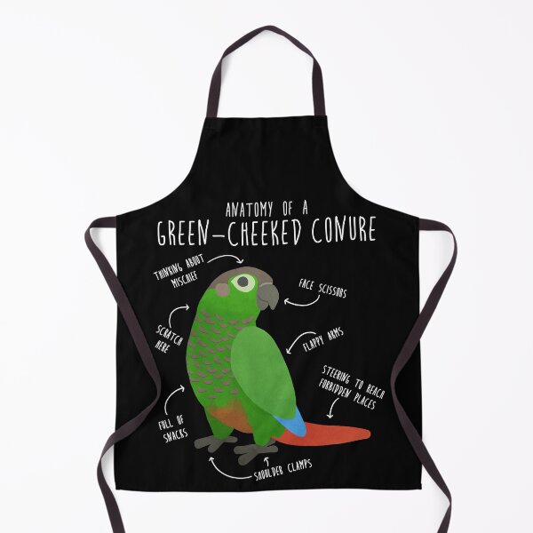 Item preview, Green Cheek Conure Anatomy designed and sold by Clara Hollins.