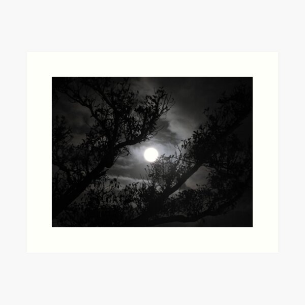 Item preview, Full moon through fig tree branches designed and sold by kirstybush.