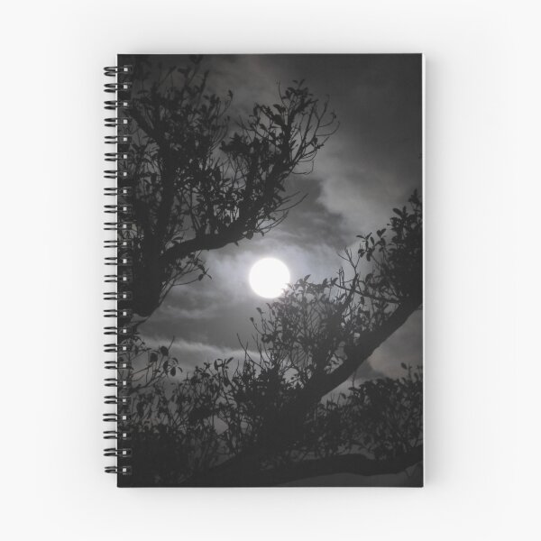 Item preview, Full moon through fig tree branches designed and sold by kirstybush.