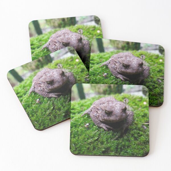 Item preview, Common toad designed and sold by abstramind.