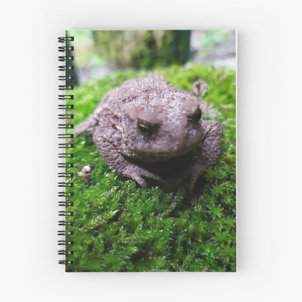 Item preview, Common toad designed and sold by abstramind.