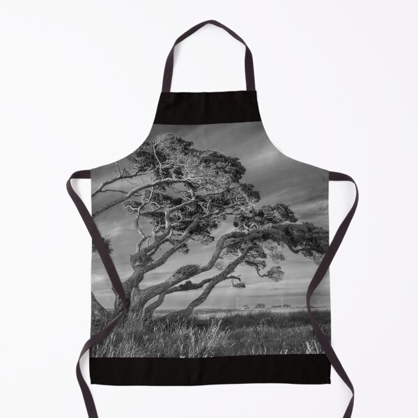 Item preview, I Will Bend But I will Not Break - NZ West Coast designed and sold by Paul Campbell Photography.