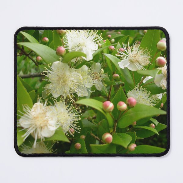 Item preview, Garden Myrtle designed and sold by lezvee.