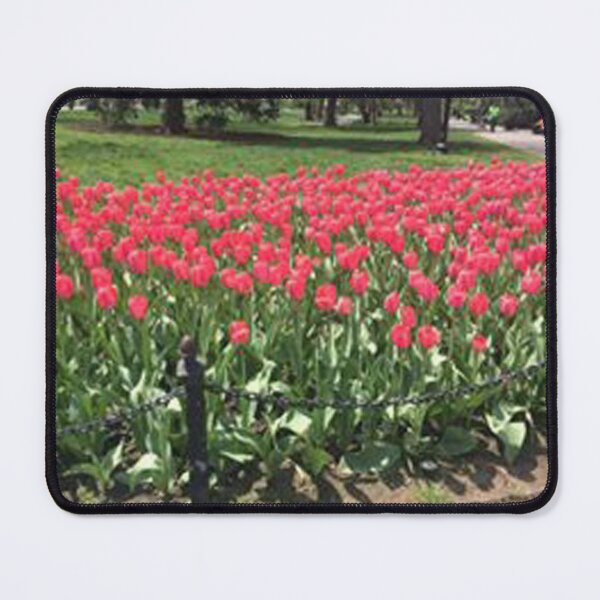 Item preview, Blurred Tulips of Boston Garden designed and sold by eevee135.