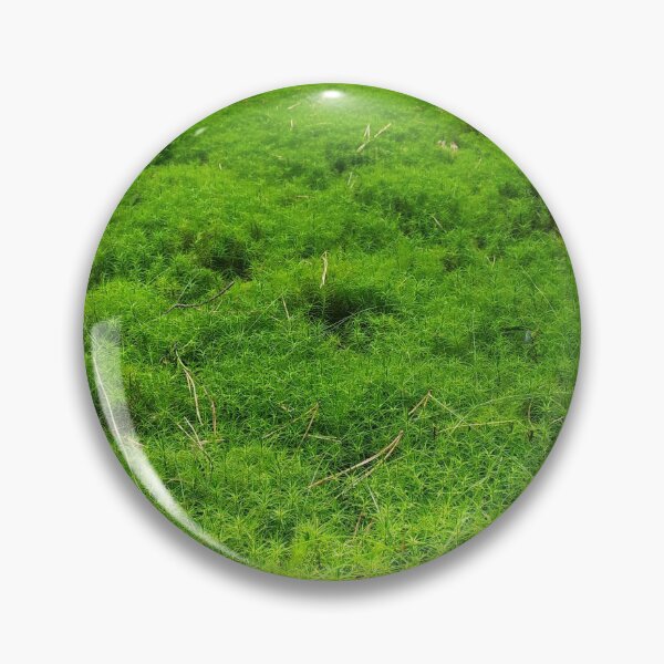 Item preview, Green moss in the forest designed and sold by abstramind.