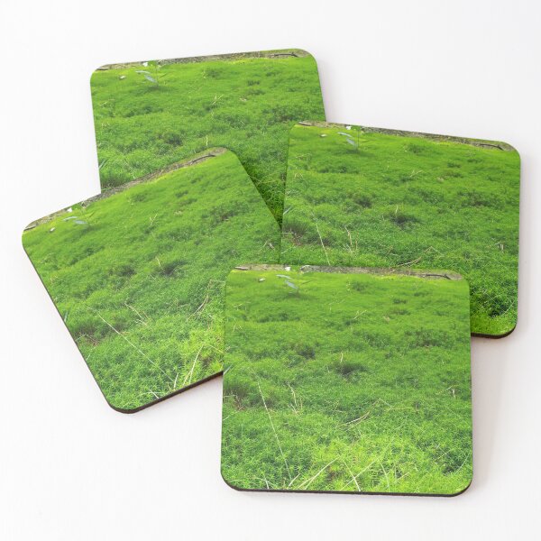 Item preview, Green moss in the forest designed and sold by abstramind.