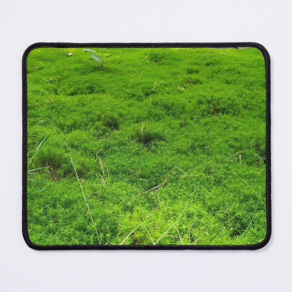 Item preview, Green moss in the forest designed and sold by abstramind.