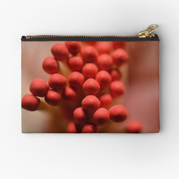 Zipper Pouch