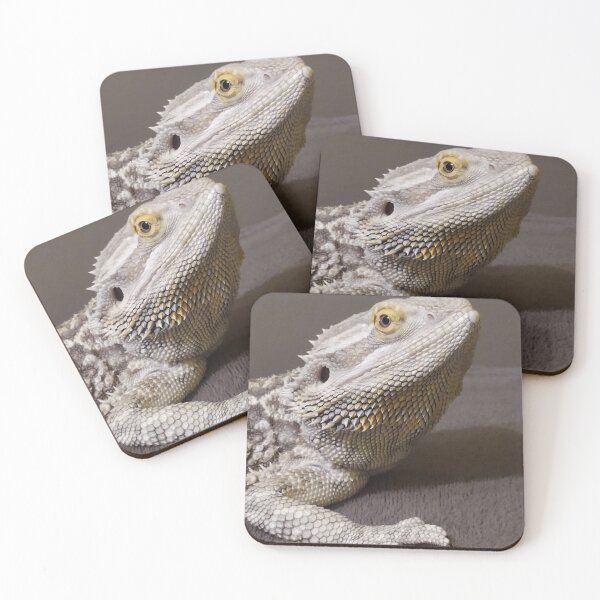 Item preview, Bearded dragon photography  designed and sold by abstramind.