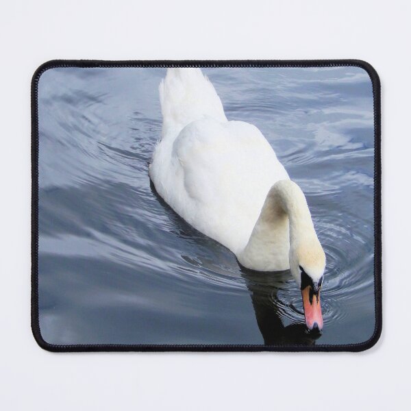 Item preview, Swan Drinking Water designed and sold by Kathleen Brant.