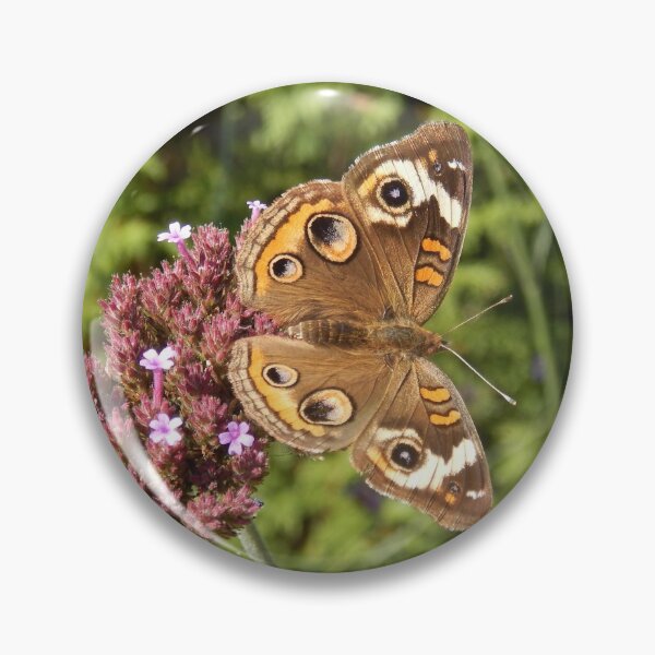 Item preview, Common Buckeye Butterfly designed and sold by Kathleen Brant.