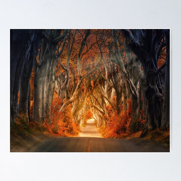 Item preview, the dark hedges, nature lovers designed and sold by BombasticPlanet.