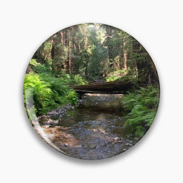 Item preview, California Muir Woods designed and sold by eevee135.