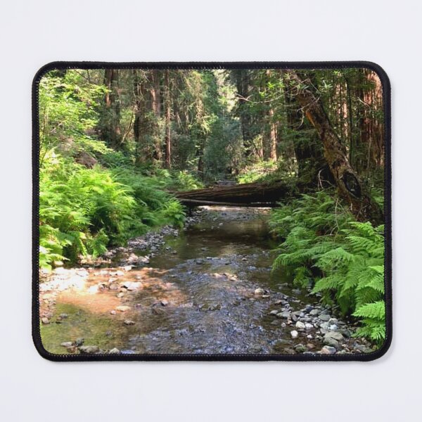 Item preview, California Muir Woods designed and sold by eevee135.