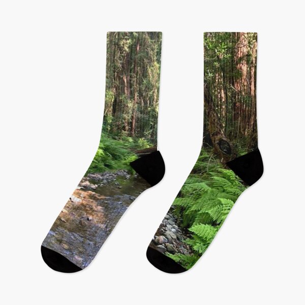 Item preview, California Muir Woods designed and sold by eevee135.