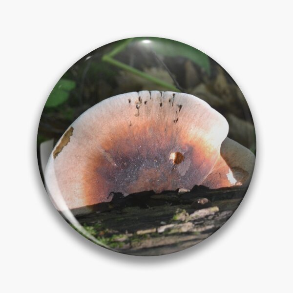 Item preview, Two Large Mushrooms designed and sold by Kathleen Brant.